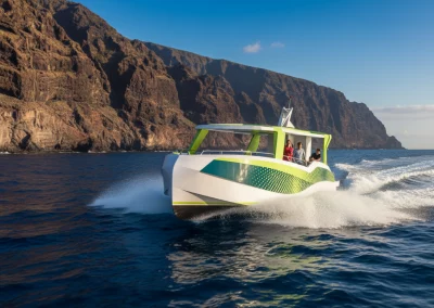 embarcación de pasaje Discovery Delfín de 18 m para avistamiento en Tenerife por Ingemar Designs