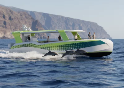 embarcación de pasaje Discovery Delfín de 18 m para avistamiento en Tenerife por Ingemar Designs